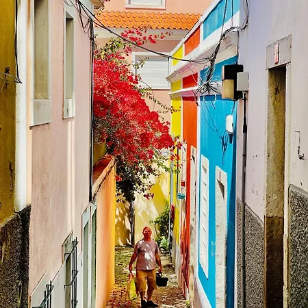 Paz 38 By Nook * Lisboa