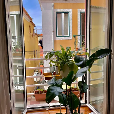 Paz 38 By Nook Lägenhet Lisboa